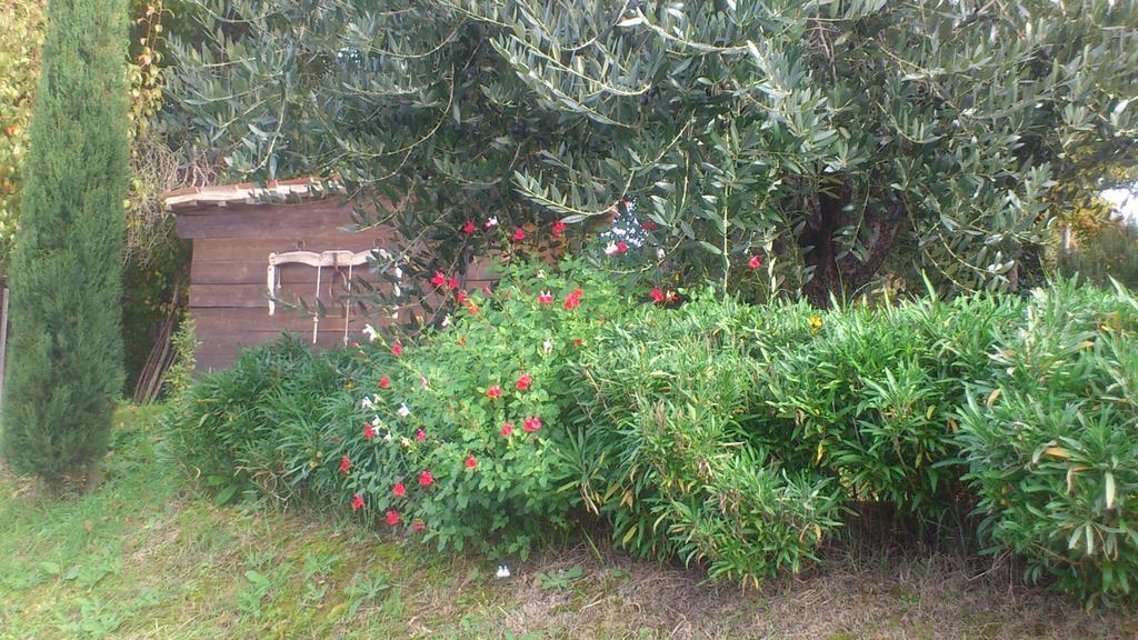 Poggio Dei Prugnoli Bed & Breakfast Tavoleto Luaran gambar