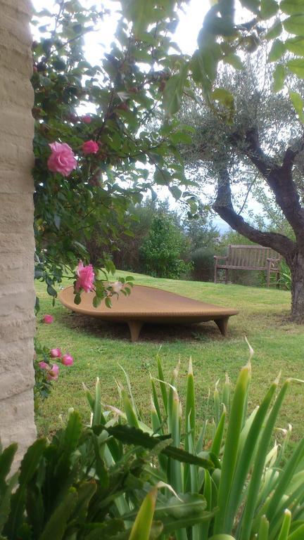 Poggio Dei Prugnoli Bed & Breakfast Tavoleto Luaran gambar