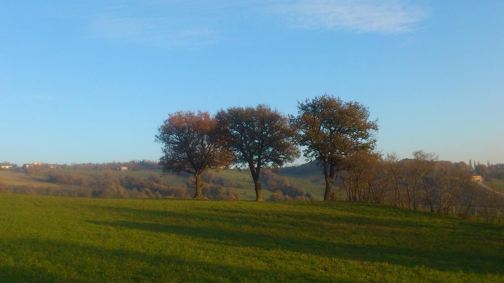 Poggio Dei Prugnoli Bed & Breakfast Tavoleto Luaran gambar