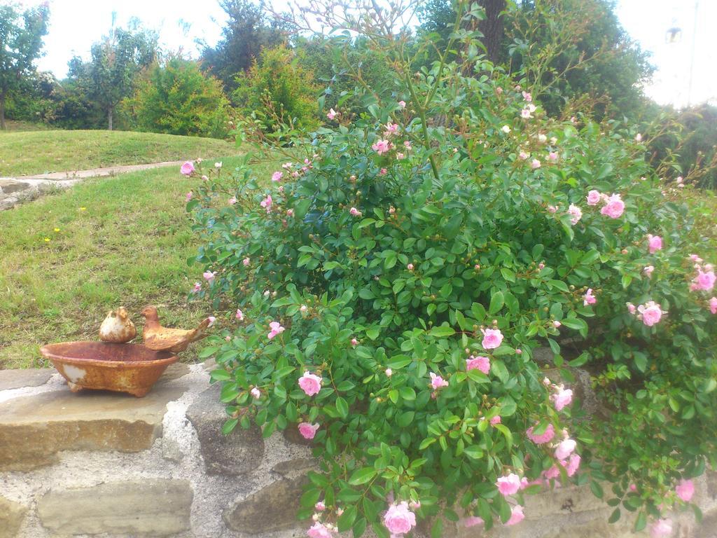 Poggio Dei Prugnoli Bed & Breakfast Tavoleto Luaran gambar