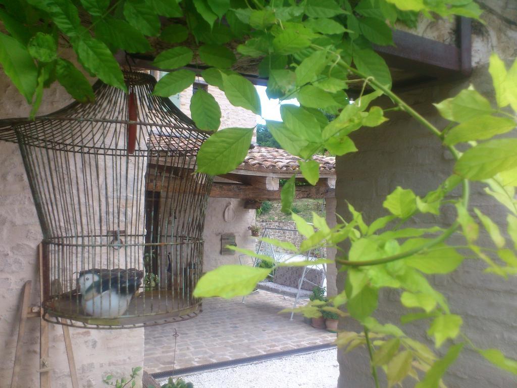 Poggio Dei Prugnoli Bed & Breakfast Tavoleto Luaran gambar