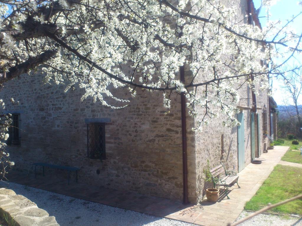 Poggio Dei Prugnoli Bed & Breakfast Tavoleto Luaran gambar