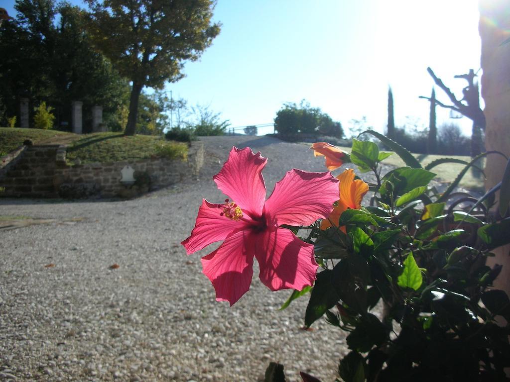 Poggio Dei Prugnoli Bed & Breakfast Tavoleto Luaran gambar